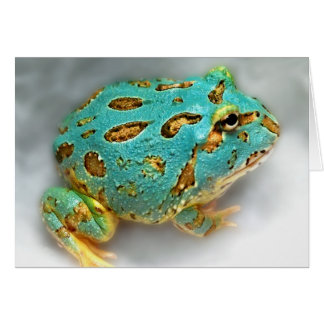 Blauwe kikker van het Man - Wachten, wachten, Gotc