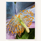 Blauwe klaproos bloesem notitieboek (Voorkant)