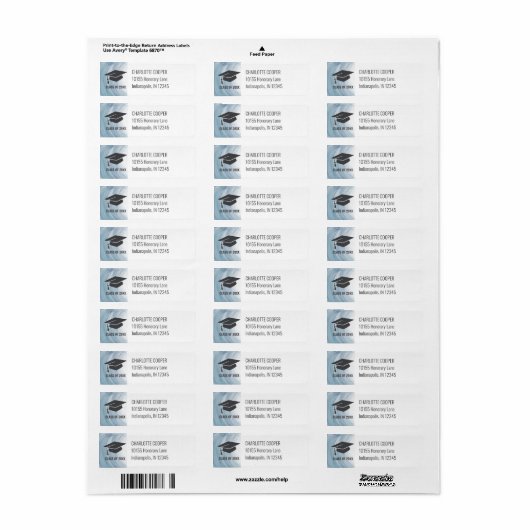 Blauwe Klasse van Afstuderen 2025 Etiket (Full Sheet)