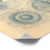 blauwe kleur Ernst Haeckel Art afdrukken Poster (Hoek)