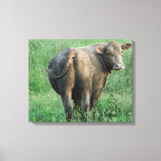 Blauwe Koe Canvas Afdruk (Voorkant)