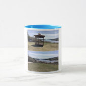 Blauwe kop, de bergerkiezer mok (Midden)