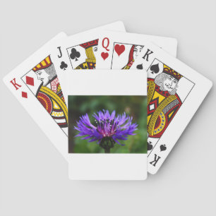 Blauwe Korenbloem Bloesem Bloemen Vrede Liefde Bes Pokerkaarten