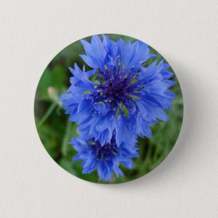 Blauwe korenbloem-Button Ronde Button 5,7 Cm