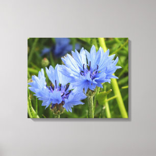 blauwe korenbloem canvas afdruk