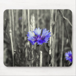 Blauwe korenbloem muismat