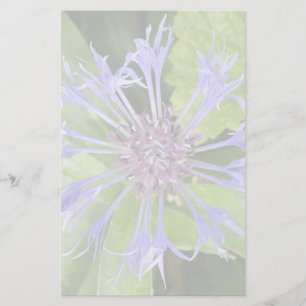 Blauwe kornbloem briefpapier