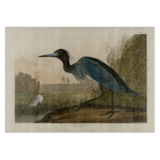Blauwe Kraanvogel Reiger Audubon Kunst Kust Kunst Snijplank (Voorkant)