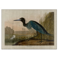 Blauwe Kraanvogel Reiger Audubon Kunst Kust Kunst