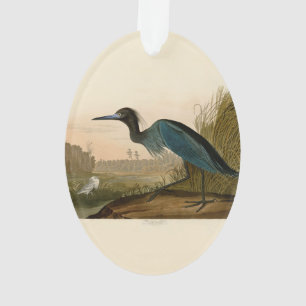 Blauwe Kraanvogel Reiger Audubon Prent Kustkunst Ornament