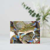 Blauwe krab briefkaart (Staand voorkant)
