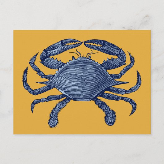 Blauwe krab briefkaart (Voorkant)