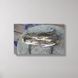 Blauwe krab Chesapeake Bay Canvas Art