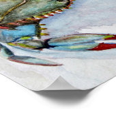 Blauwe krab poster (Hoek)