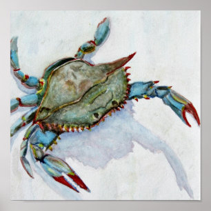 Blauwe krab poster