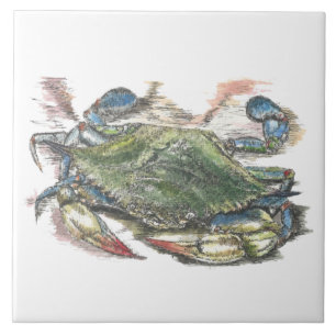 Blauwe krab tegeltje