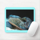 blauwe kreeft muismat (Met muis)