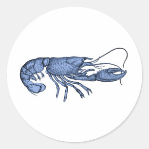 Blauwe Kreeft Retro Vintage Afbeelding Ronde Sticker