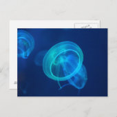 Blauwe kwal briefkaart (Voorkant / Achterkant)