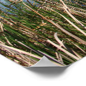 "Blauwe lagune" Poster (Hoek)