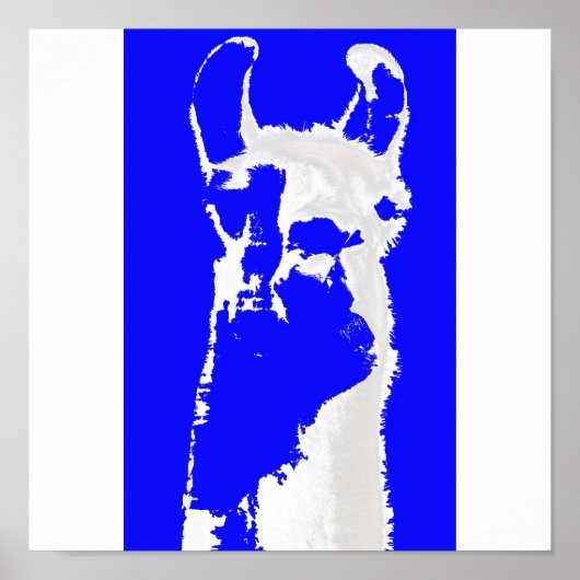 Blauwe lama poster (Voorkant)