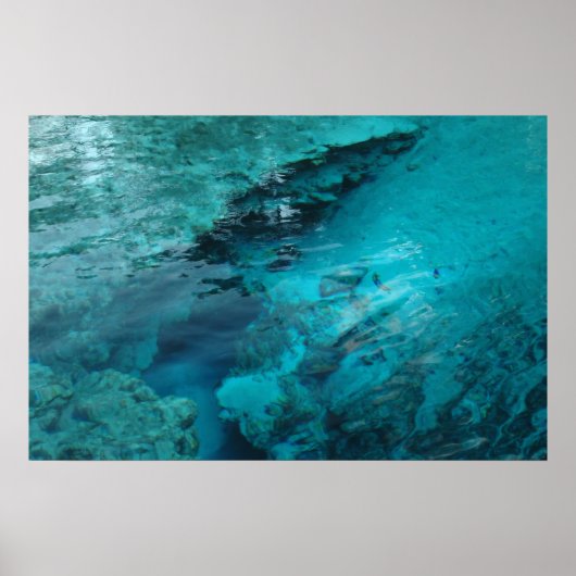 Blauwe lente afdrukken poster (Voorkant)