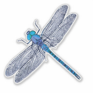 Blauwe libel contour sticker