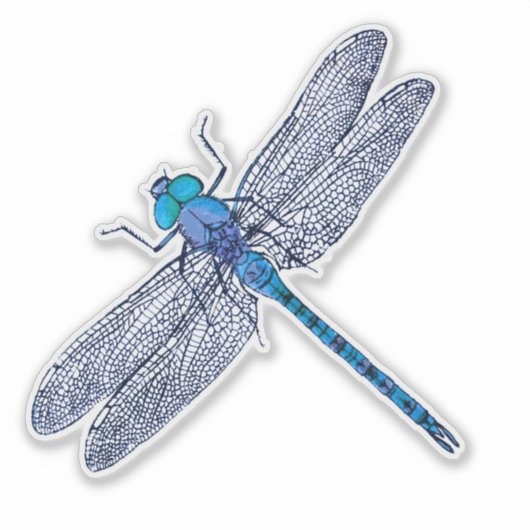 Blauwe libel contour sticker (Voorkant)