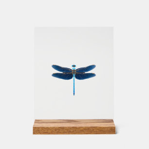 Blauwe Libel - Insecten Dierenliefhebber Ento Acryl Bord