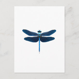 Blauwe Libel - Insecten Dierenliefhebber Ento Briefkaart