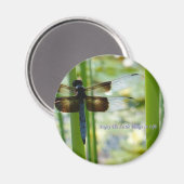 Blauwe libel magneet (Voorkant / Achterkant)