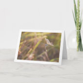 Blauwe libel op stengelportret kaart (Voorkant)