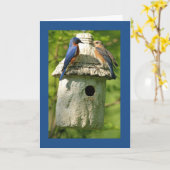 blauwe lijster jubileumkaart kaart (Gele Bloem)