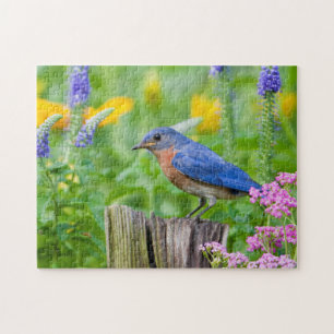 Blauwe lijster mannetje op omheiningspaal in bloem legpuzzel