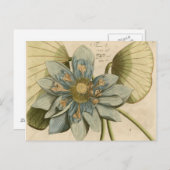 Blauwe Lotus-ventilator op Tan-achtergrond met sch Briefkaart (Voorkant / Achterkant)