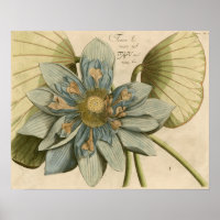 Blauwe Lotus-ventilator op Tan-achtergrond met sch