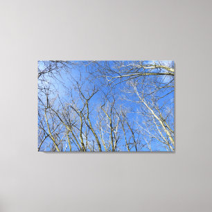 Blauwe Lucht, Bomen in de Winter Canvas Afdruk