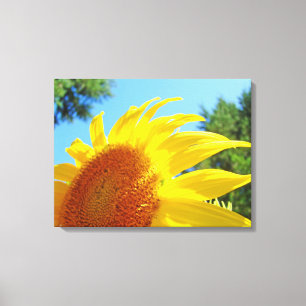 Blauwe lucht canvasafdrukken Gele zonnebloemen Tui Canvas Afdruk