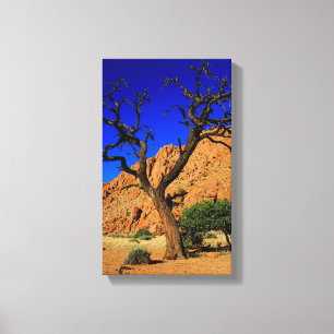 Blauwe Lucht Rode Grond Boom Namibië Canvasprint Canvas Afdruk