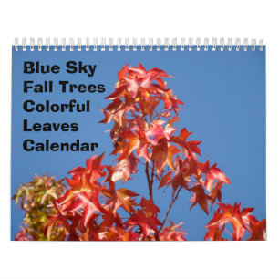 Blauwe Luchtval Bomen Kalender Kleurrijke Bladeren