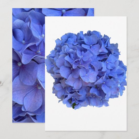 Blauwe maagdenpalm elegante bloemen hortensia's kaart (Voorkant / Achterkant)