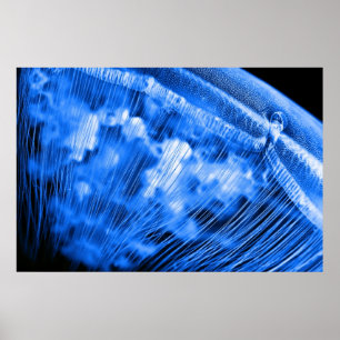 Blauwe maan rijst poster