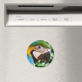 Blauwe Macaw Parrot magneet (Insitu (Vaatwasser))