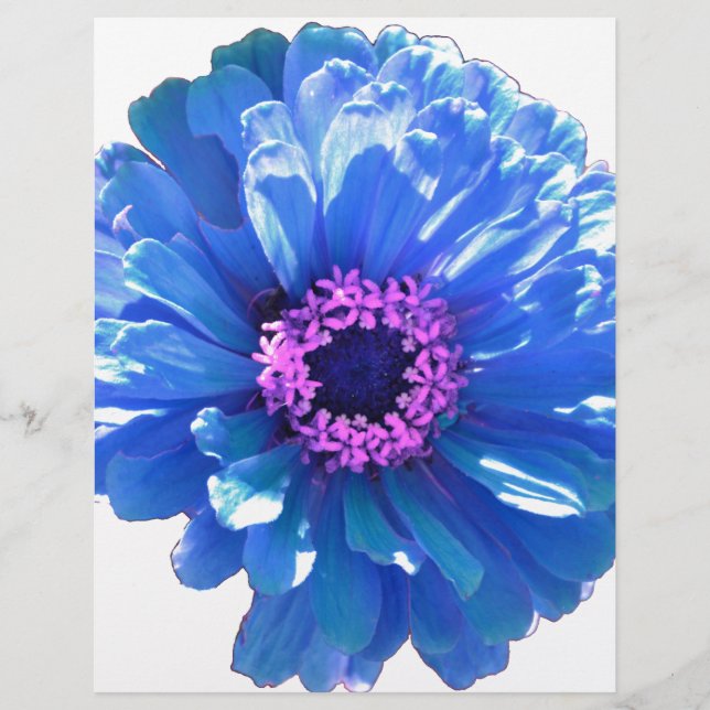 Blauwe maffia (Voorkant)