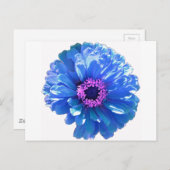 Blauwe maffia briefkaart (Voorkant / Achterkant)