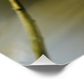 Blauwe mees zittend op boomtak perfect poster (Hoek)