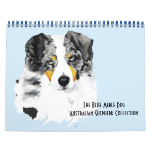 Blauwe Merle Australische Herder Twee Pagina Kalender