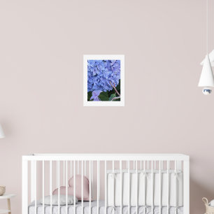 Blauwe Mophead Hortensia Bloei Bloem Poster