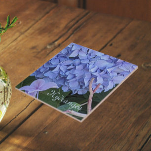 Blauwe Mophead Hortensia Bloem Floral Tegeltje