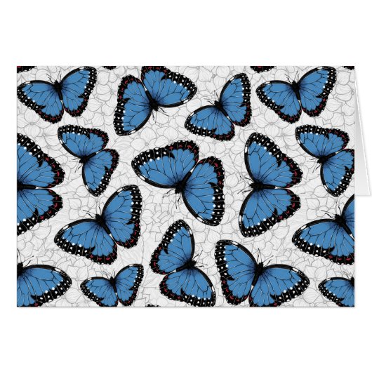 Blauwe morfovlinder (Voorkant Horizontaal)